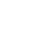 logo-das-header-white